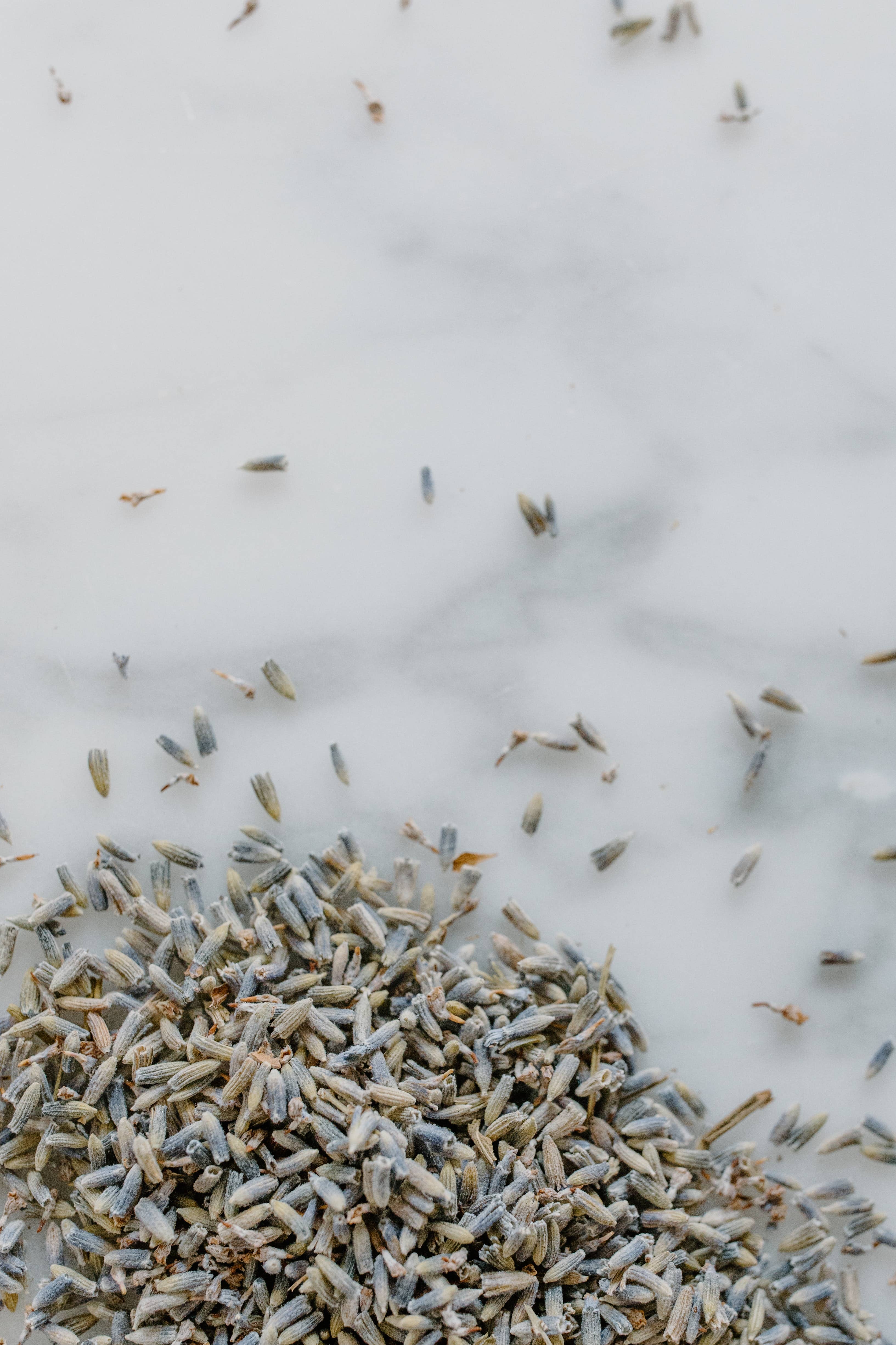 Slow Burn Lux - Vente Bougie en bocal - The Copenhagen 13 oz16