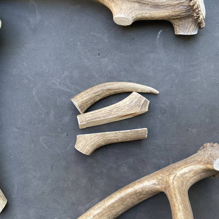 Sawtooth Antler Chews - Wholesale Pet Chew Toy - Dog - Dog Antler Chews17