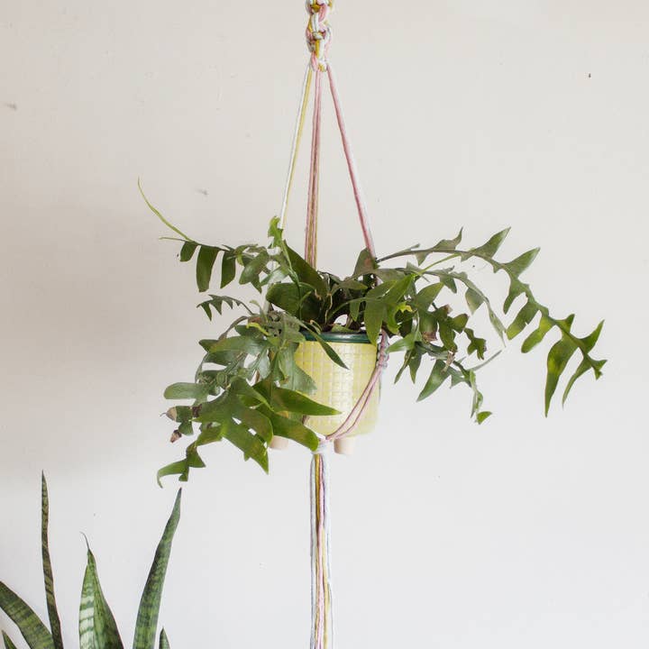 Modern Bo Studio - Wholesale Hanging Planter - Chunky Twist Plant Hanger - Multicolor