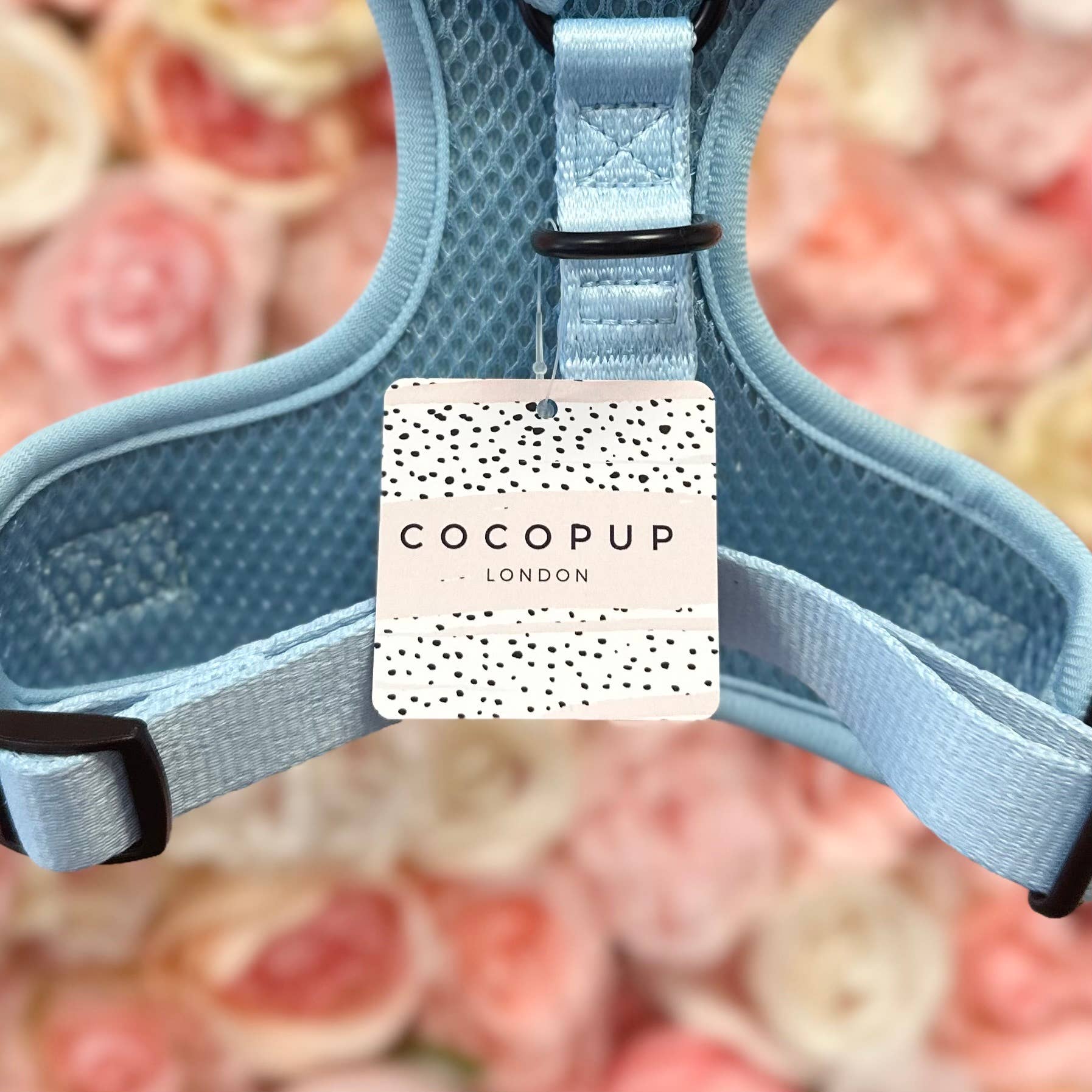 Cocopup London - Vente Collier – chien - Swing Tags de la marque Cocopup1