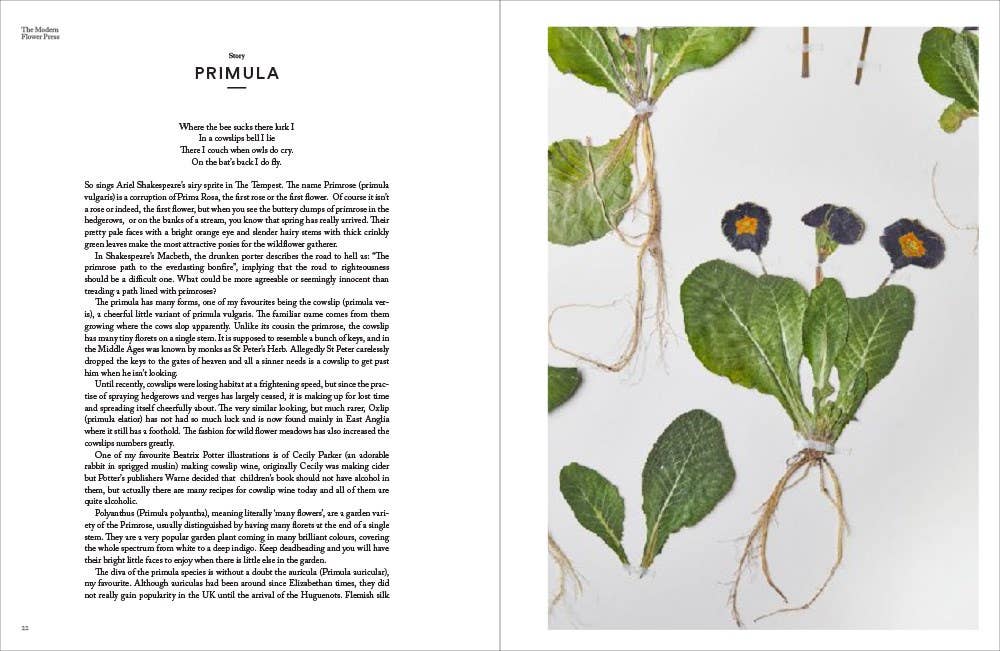 Abrams - Wholesale Crafts, Hobbies & DIY - The Modern Flower Press5