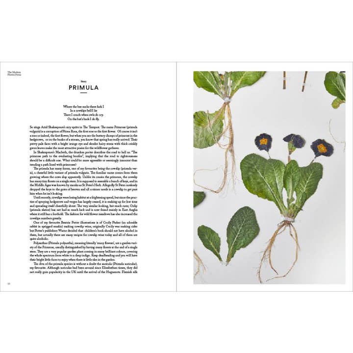 Abrams - Wholesale Crafts, Hobbies & DIY - The Modern Flower Press5