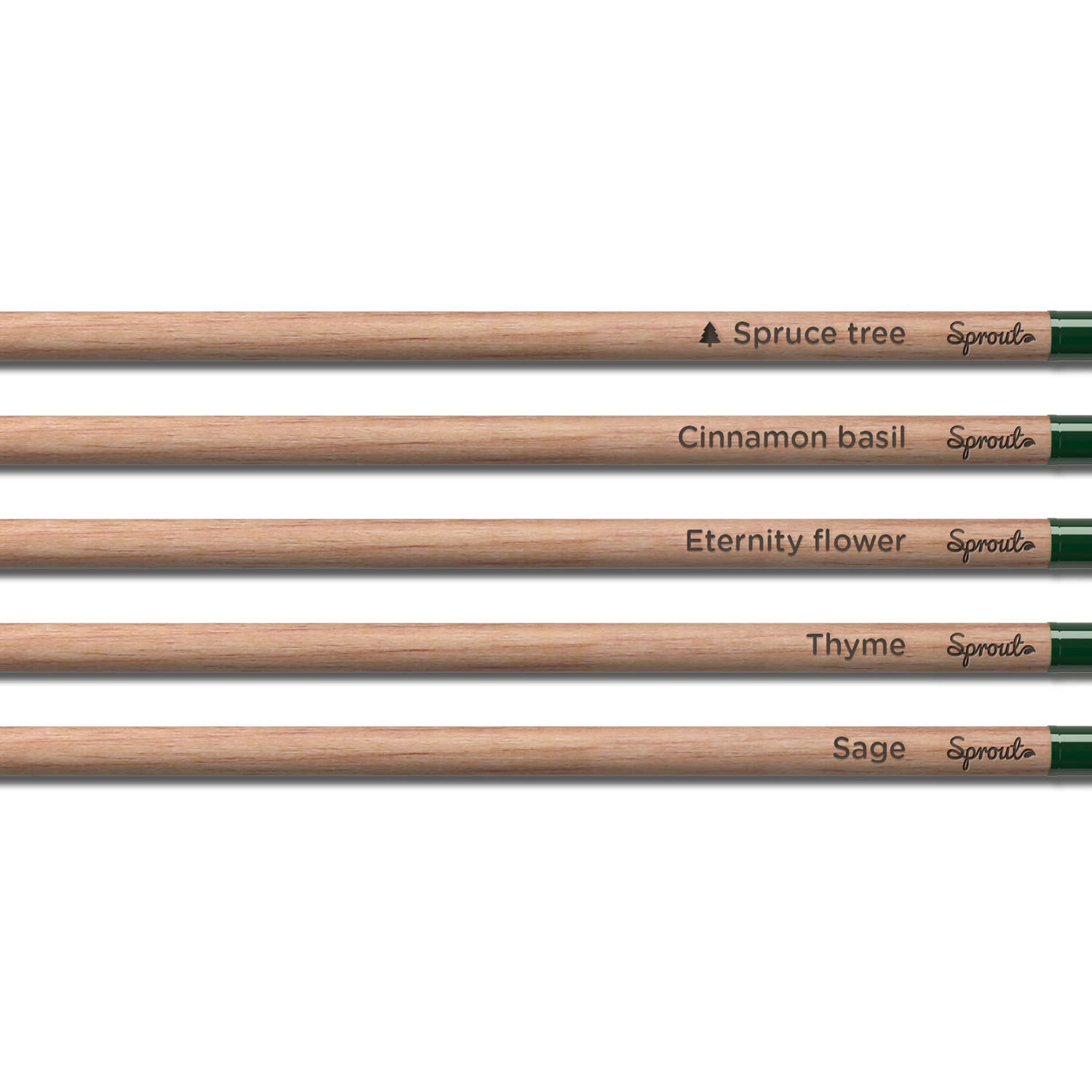 SproutWorld – wholesale Pencil – SproutWorld Plantable Pencils | X-mas · 5 pack3