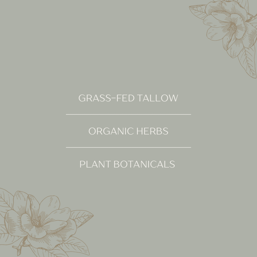 Wild Roots Tallow Co. - Wholesale Body Balm/Butter - Vanilla Bean Infused Tallow Body Whip5