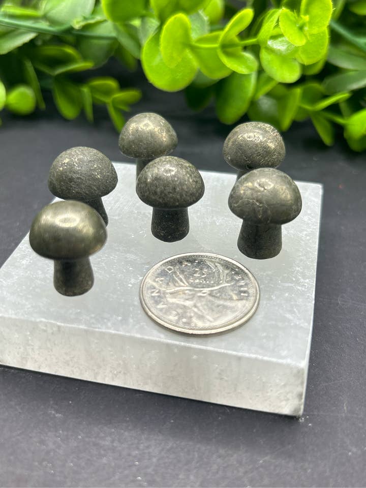 Pyrite Mini svamp för wholesale av Moonbeam Healing