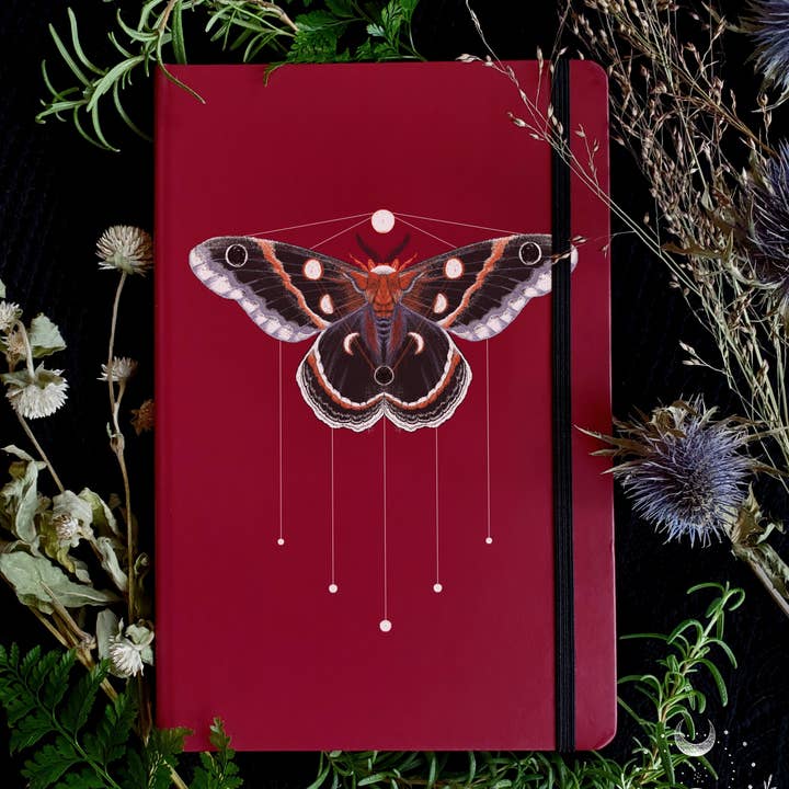 Cyclical Roots by Rachael Amber - Wholesale Notebook - Cyclical Notebook – A Blank & Lined Tracking Journal for Expansion6