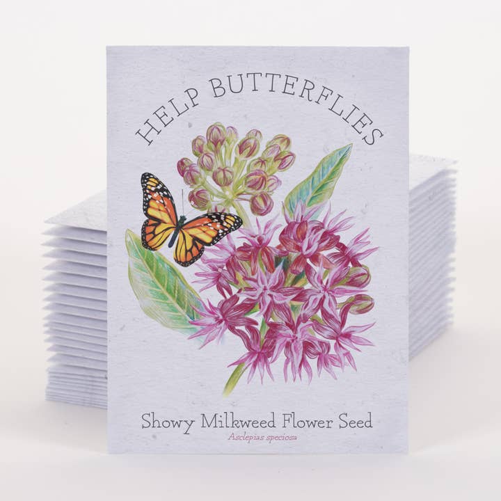 Bentley Seed Co. - Vente Graines de plantes - Sachets de graines d'asclépiade pour papillons Showy