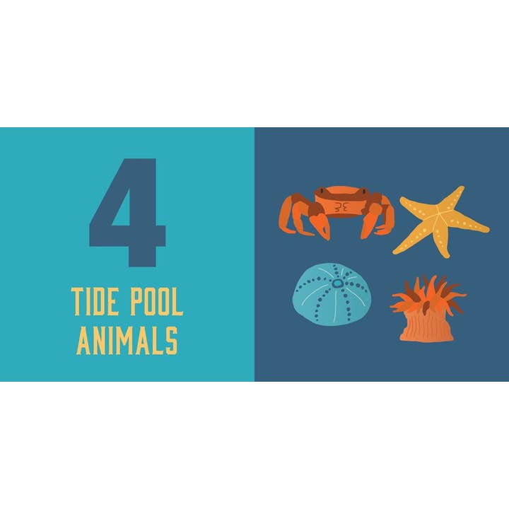 Gibbs Smith - Wholesale Baby & Toddler Book (0-2) - Count on Oregon: Baby’s First Book About the Beaver State4