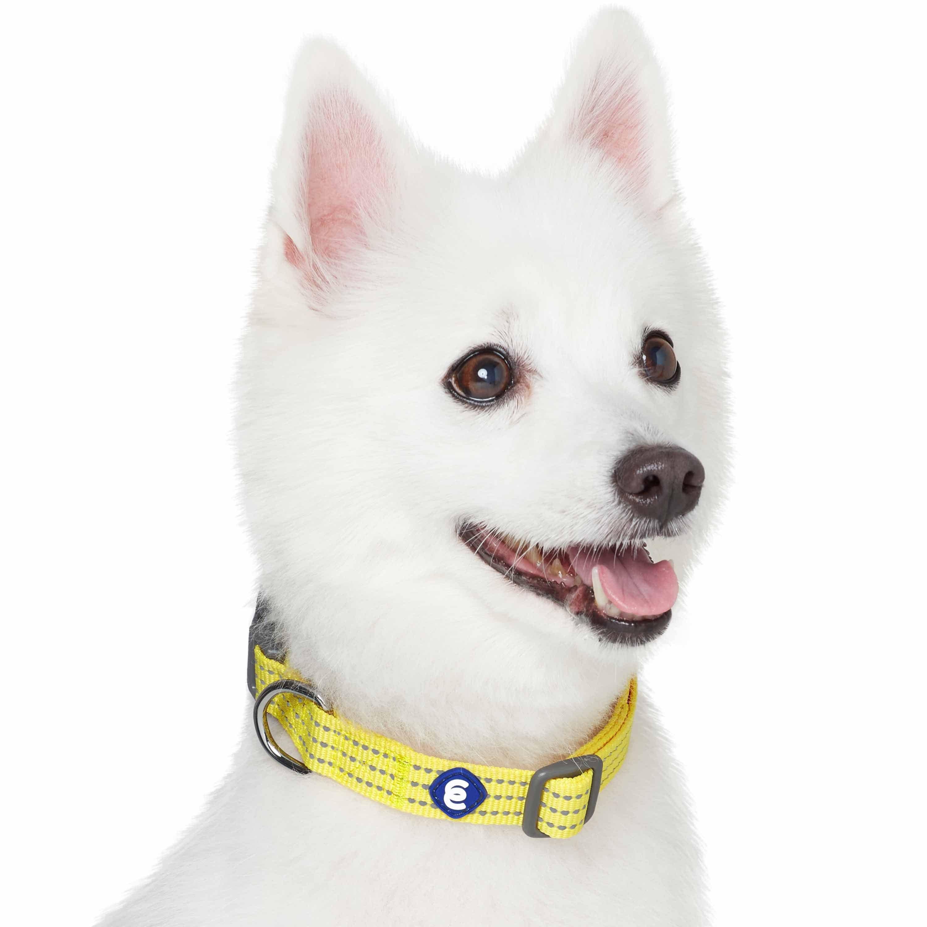 Blueberry Pet - Venta al por mayor Collar - Perros - Collar reflectante para perros Better Basic en 8 colores26