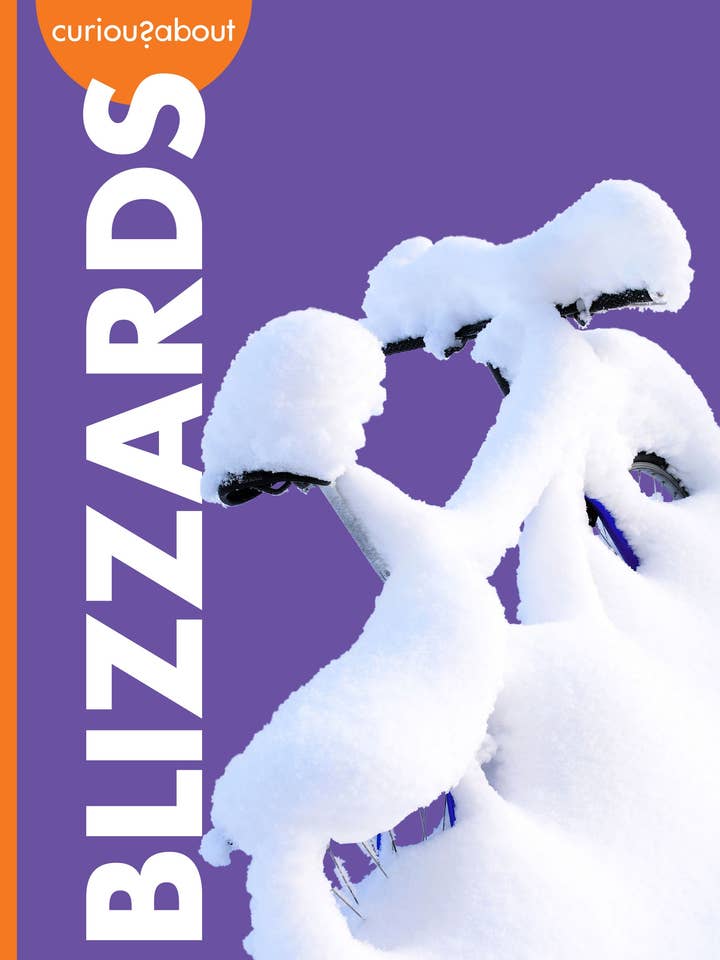 Curious about Blizzards for wholesale by Amicus Publishing