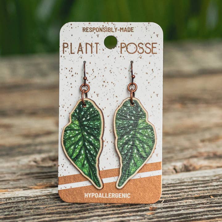 Pendientes colgantes de begonia a lunares para venta al por mayor de Plant Posse