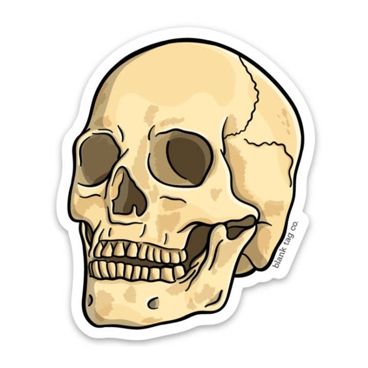 Blank Tag Co.® Waterproof Sticker - Anatomical Skull for wholesale by Blank Tag Co. - Waterproof Stickers