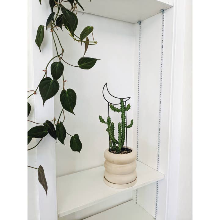 PlantsNsht - Wholesale Trellis - Metal Crescent Moon Trellis2
