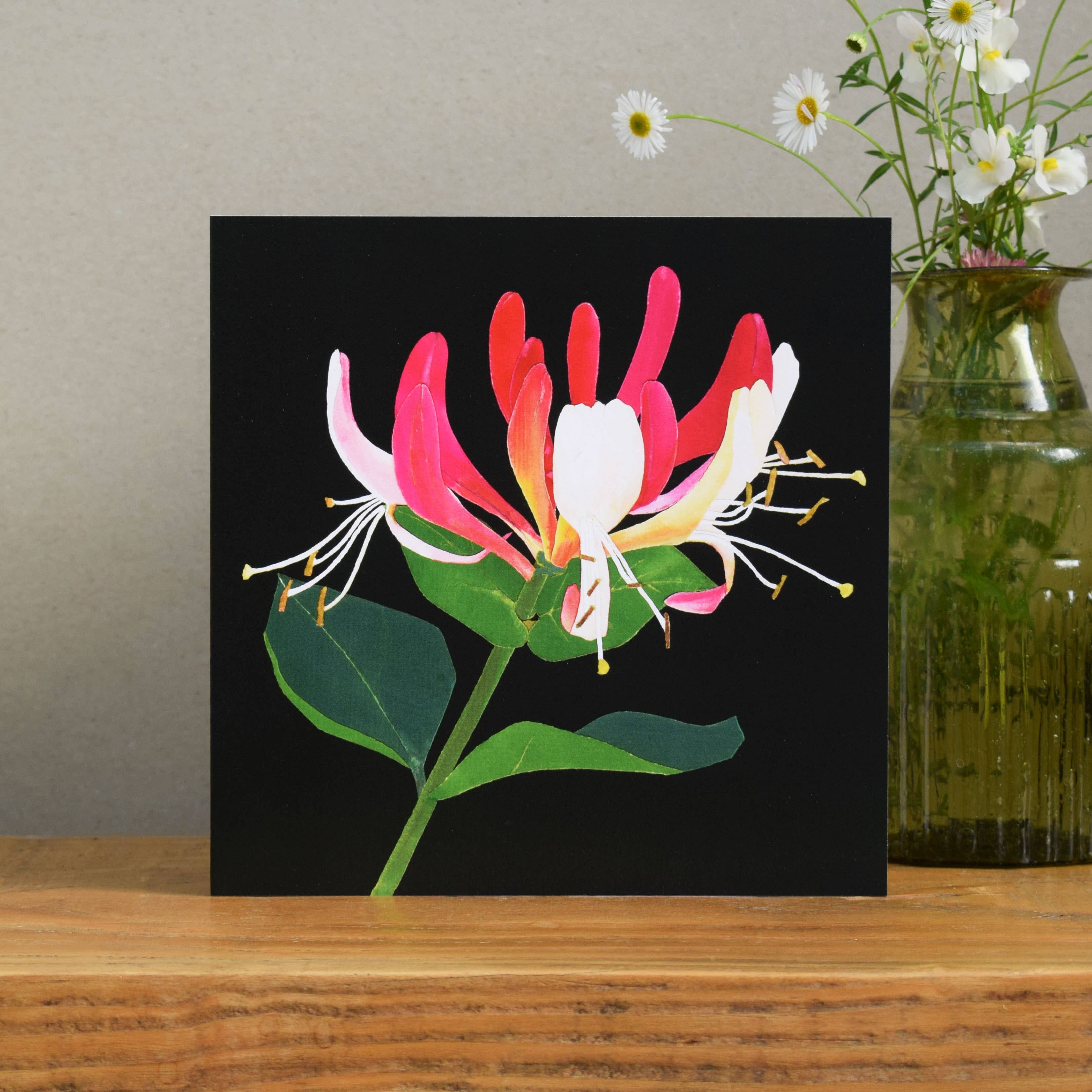 Windsock Press – wholesale Everyday greeting card – Honeysuckle Card1