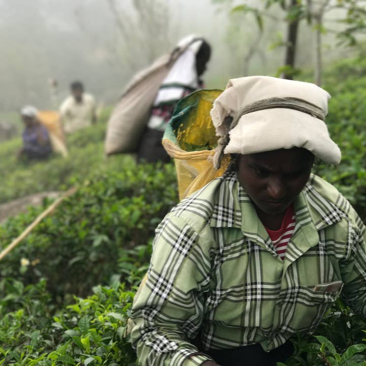 TEAmwork Tea - Wholesale Loose Tea - Healthy Relaxing Jasmine Loose Tea 40 gram4