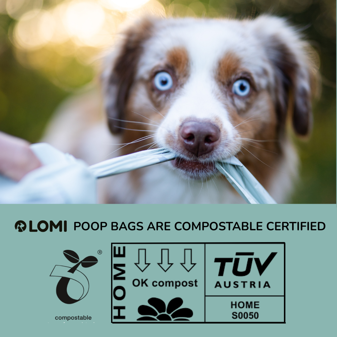 LOMI Pet Care - Wholesale Pet Poop Bag - 100% Compostable Poop Bags – Eco-Friendly15