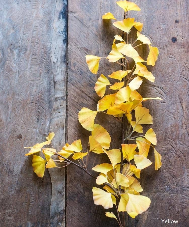 Rustic Reach - Vente Plantes artificielles - Tige de feuille de ginkgo artificielle jaune de 37 pouces de haut0