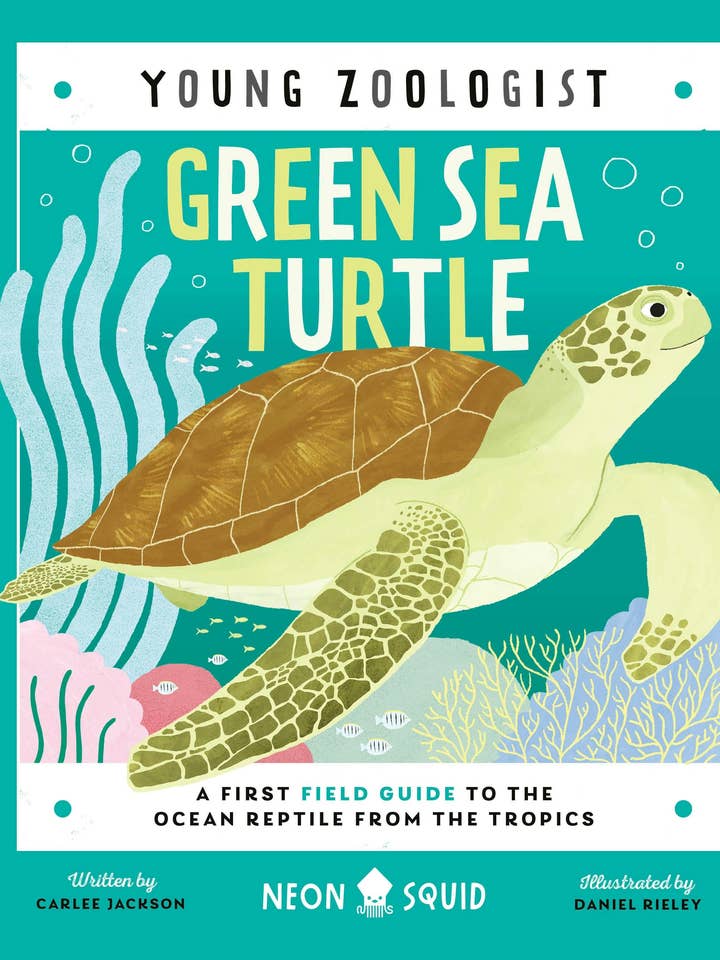 Young Zoologist: First Field Guide To Sea Turtles for wholesale by Macmillan Publishers