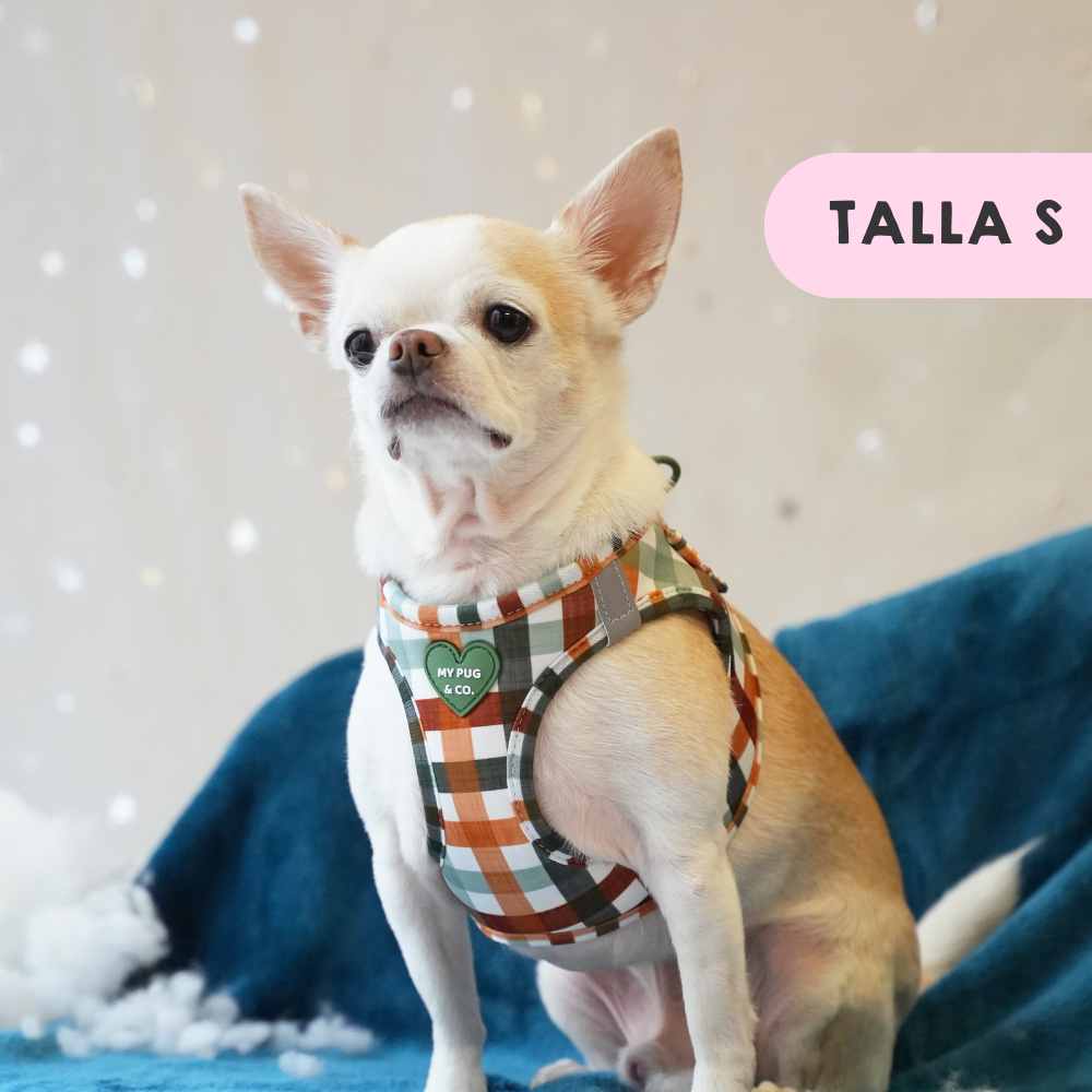 My Pug & Co. - Wholesale Pet Harness - Dog - Autumn Picnic Body Harness8