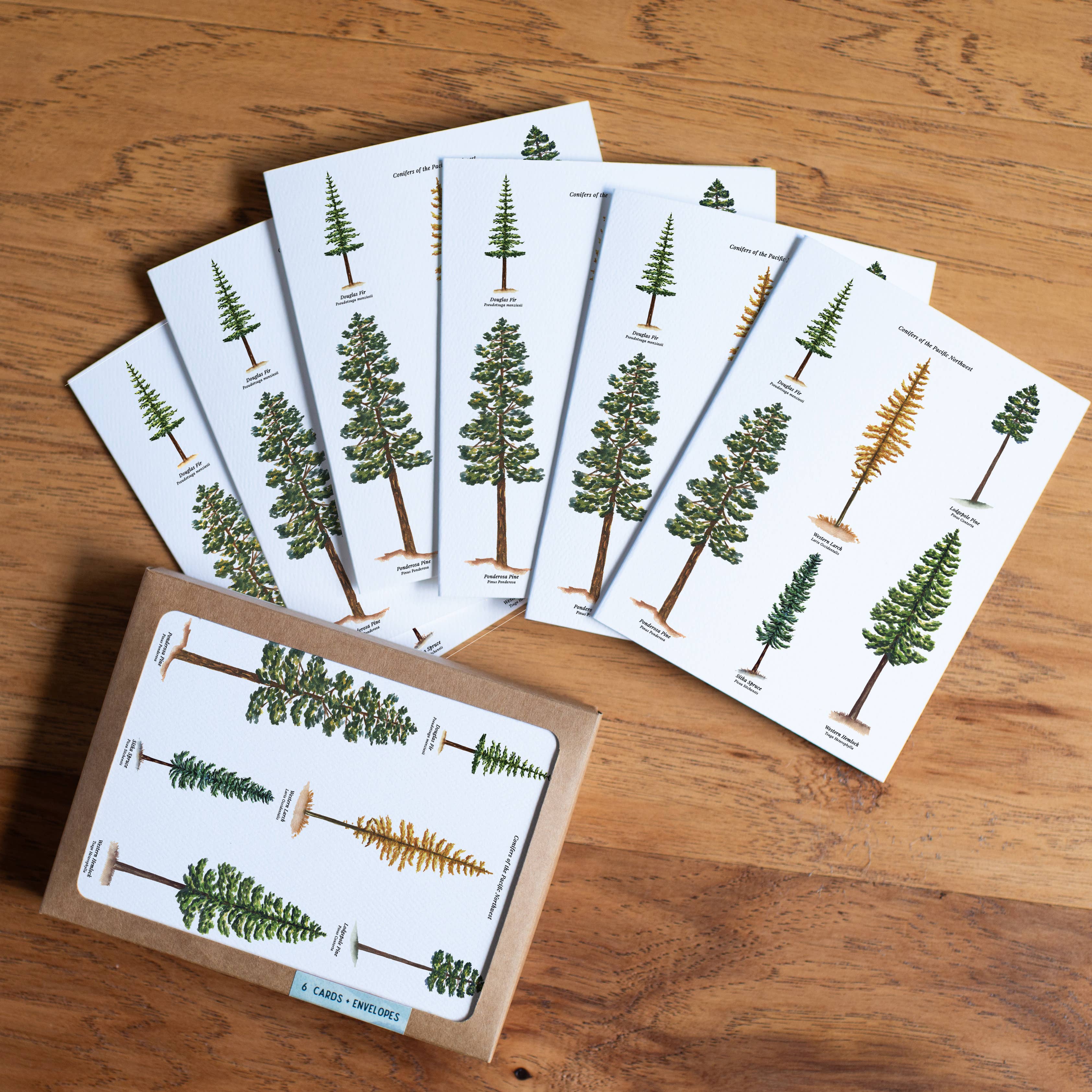 Watercolor Wednesday - Wholesale Everyday Greeting Card - Tree Card PNW | Everyday Greeting Card | Woodsy Design3