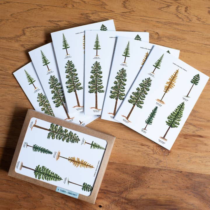 Watercolor Wednesday - Wholesale Everyday Greeting Card - Tree Card PNW | Everyday Greeting Card | Woodsy Design3