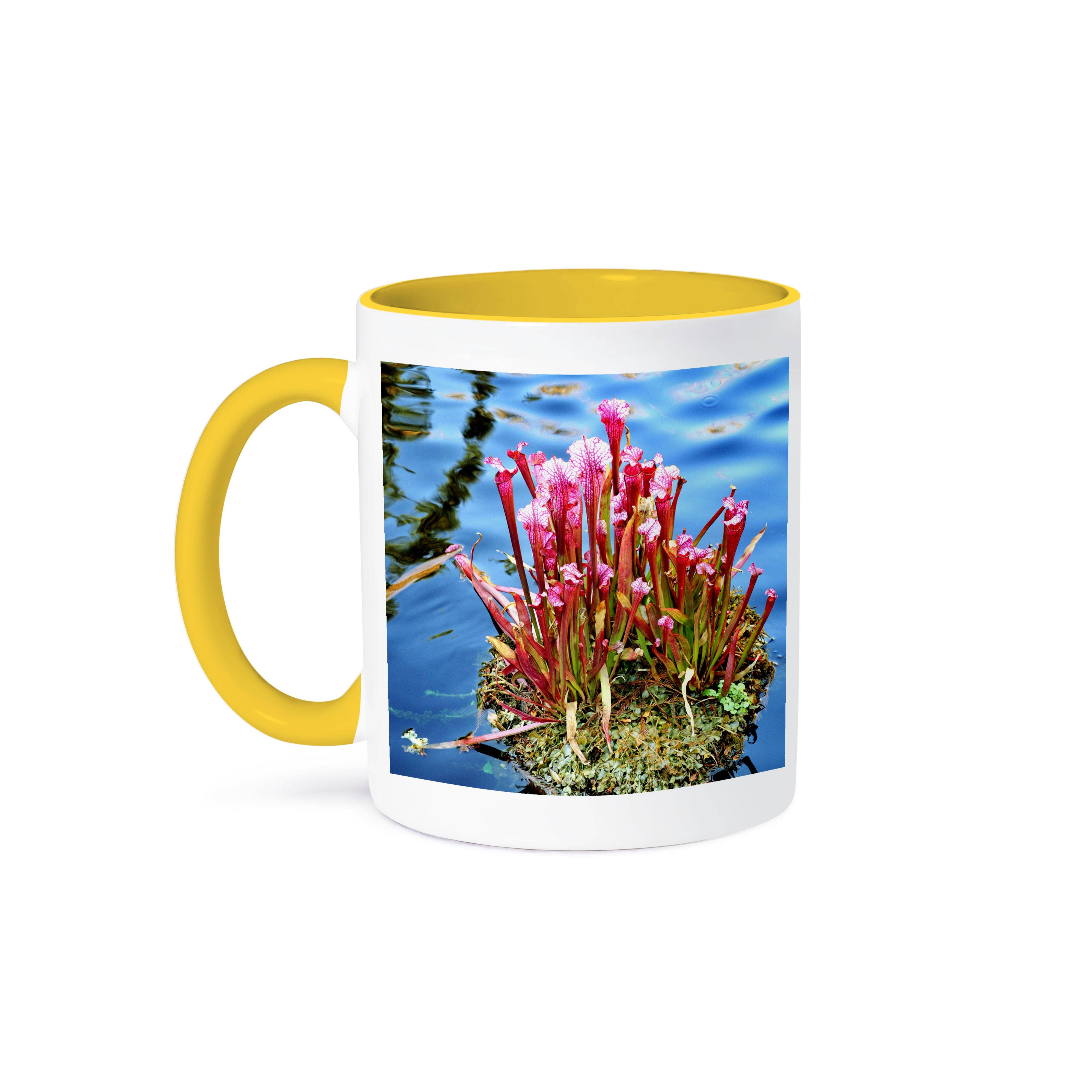 3dRose - Wholesale Coffee Mug - 3dRose, This is a carnivorous plant that lives in the water, Mug0