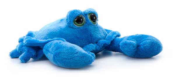 The Petting Zoo – wholesale Fyllda/plyschleksaker - Barn och baby – 9" (23 cm) Ljusögd blå krabba sjöliv2