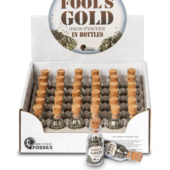 Confezione di bottiglie di pirite per la vendita all'ingrosso da parte di British Fossils