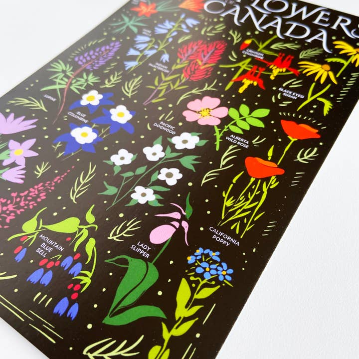 HAVYN - Vente Cartes postales - Fleurs sauvages Canada Carte postale 6x93