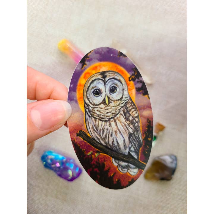 Autocolante Artístico da Coruja Barred | Coruja à noite com lua e estrelas por atacado de To Draw Attention