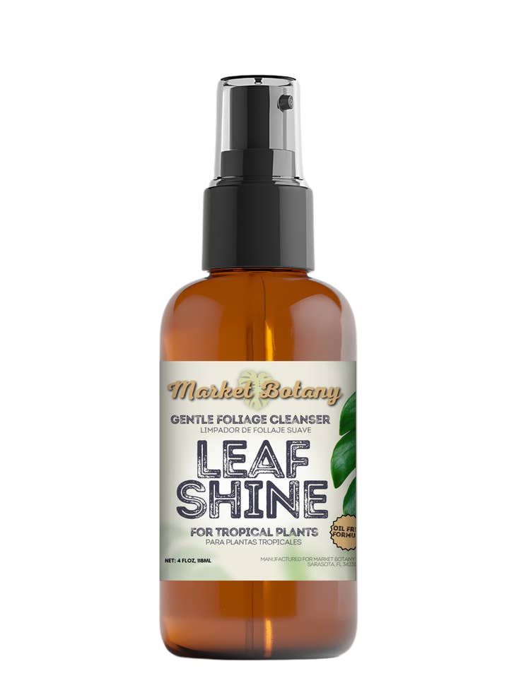 Leaf Shine - Gentle Foliage Cleanser for Houseplants for wholesale by Market Botany