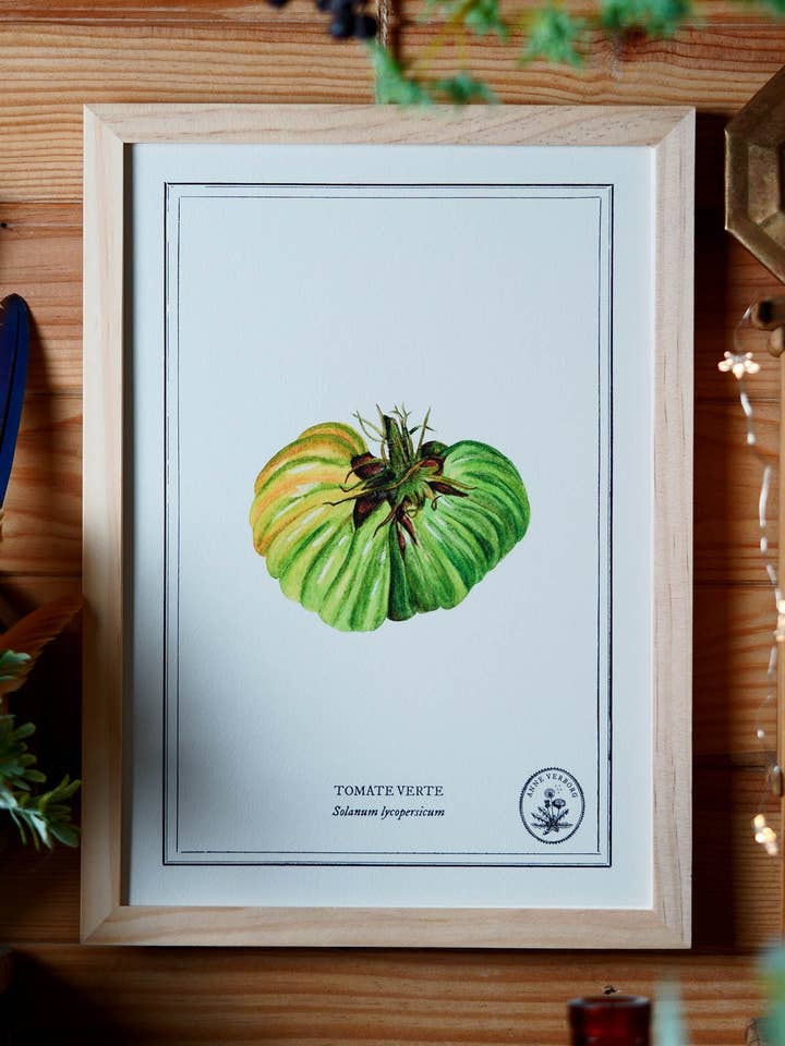 A4 Poster Green Tomato for wholesale by ANNE VERBORG