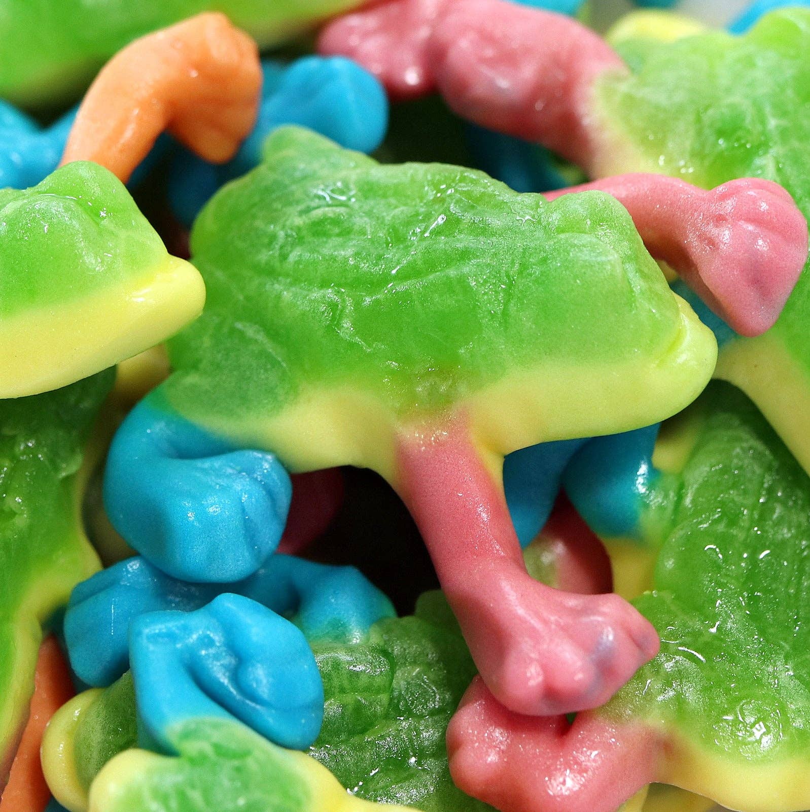 The Nut Garden, Sweetables, Utah Truffles - Wholesale Gummy - Sweetables Candy Jars | Slime-filled Tree Toads1