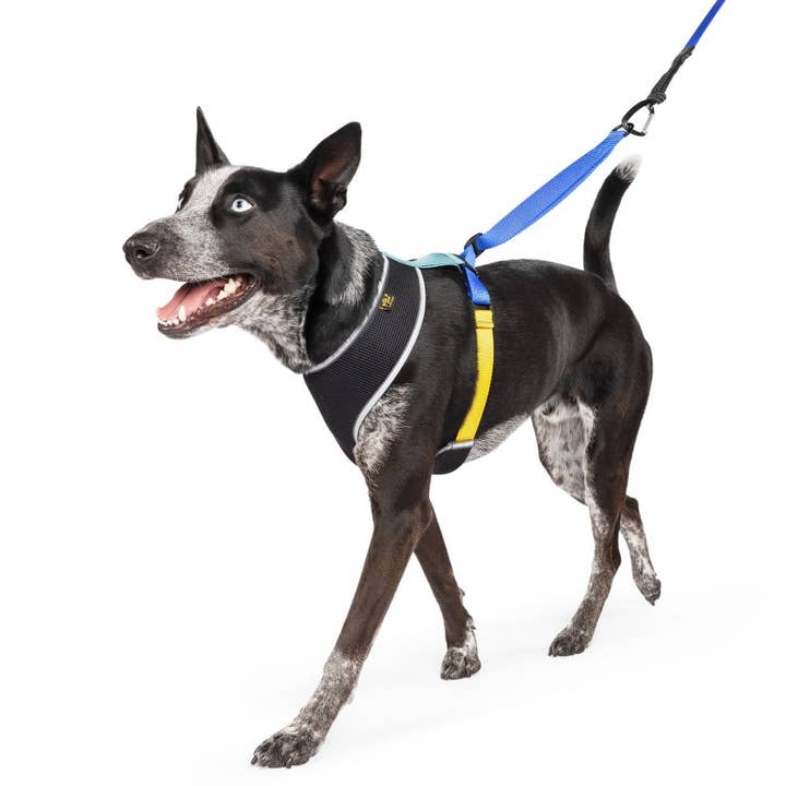 Gold Paw Series - Wholesale Pet Harness - Dog - Featherweight Air Harness