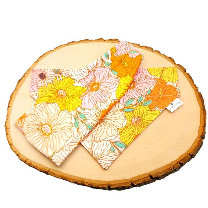 Set Coordinato di Fascia e Bandana Frances Garden per la vendita all'ingrosso da parte di Mutty Mornings