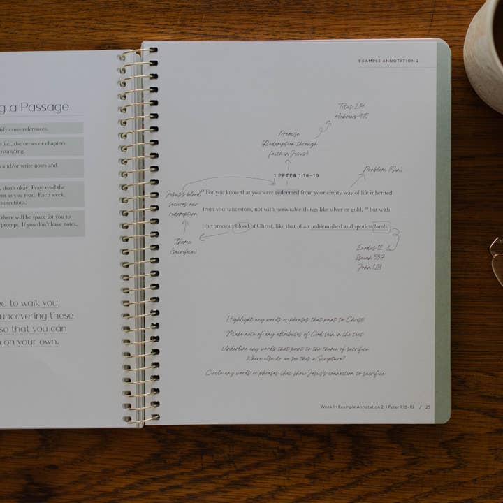 The Daily Grace Co - Wholesale Book - Adult - Christ in All of Scripture | Volume 1