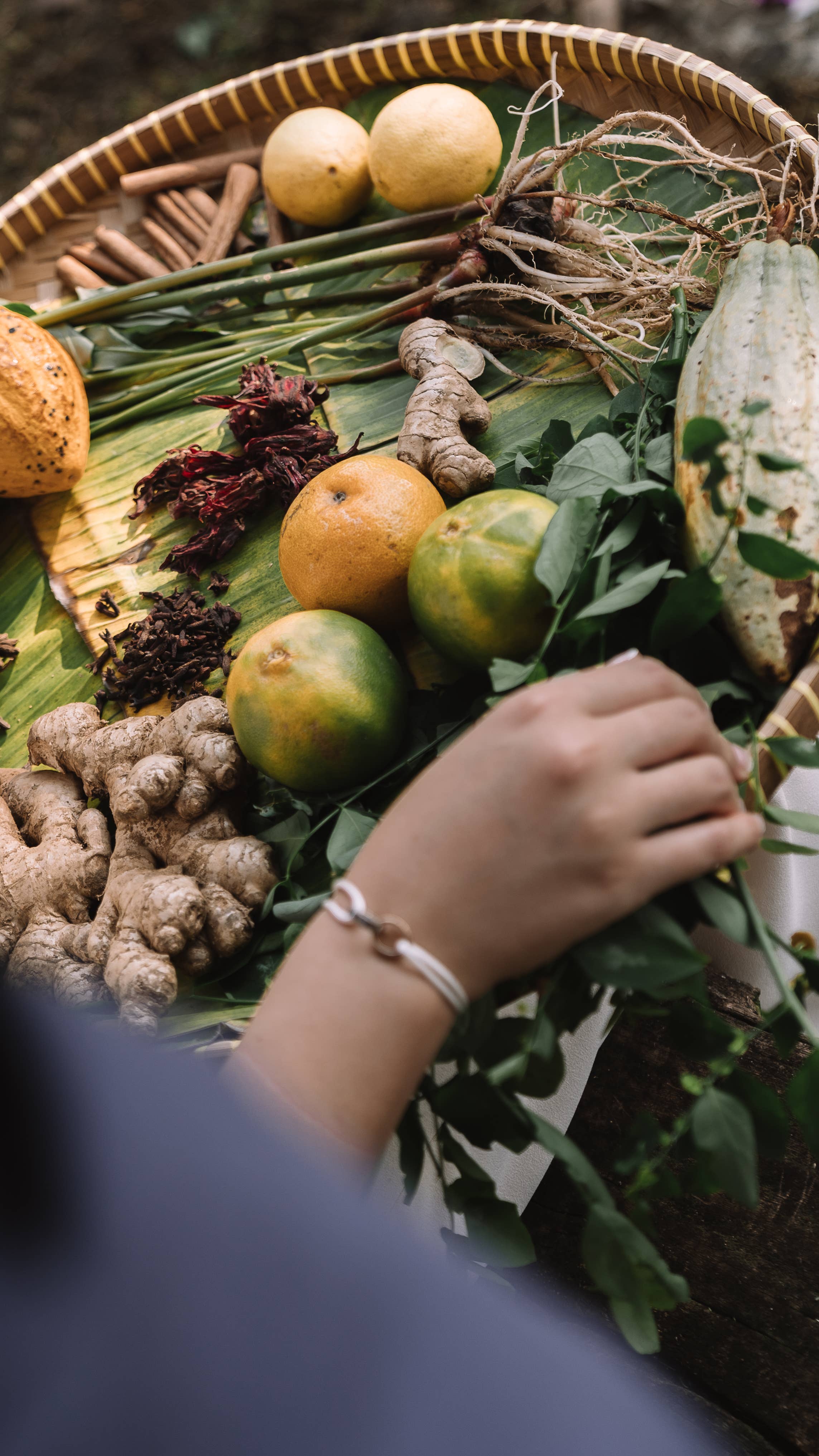 Melati Drinks - Wholesale Non-Alcoholic Spirits/Wine/Beer - Melati Fresh Zero-Alcohol Botanical Spirit (with gift box)3