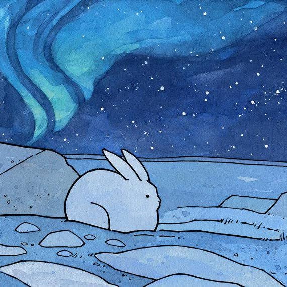 Studio Tuesday – wholesale Everyday greeting card – Snowshoe Hare and Northern Lights Card2