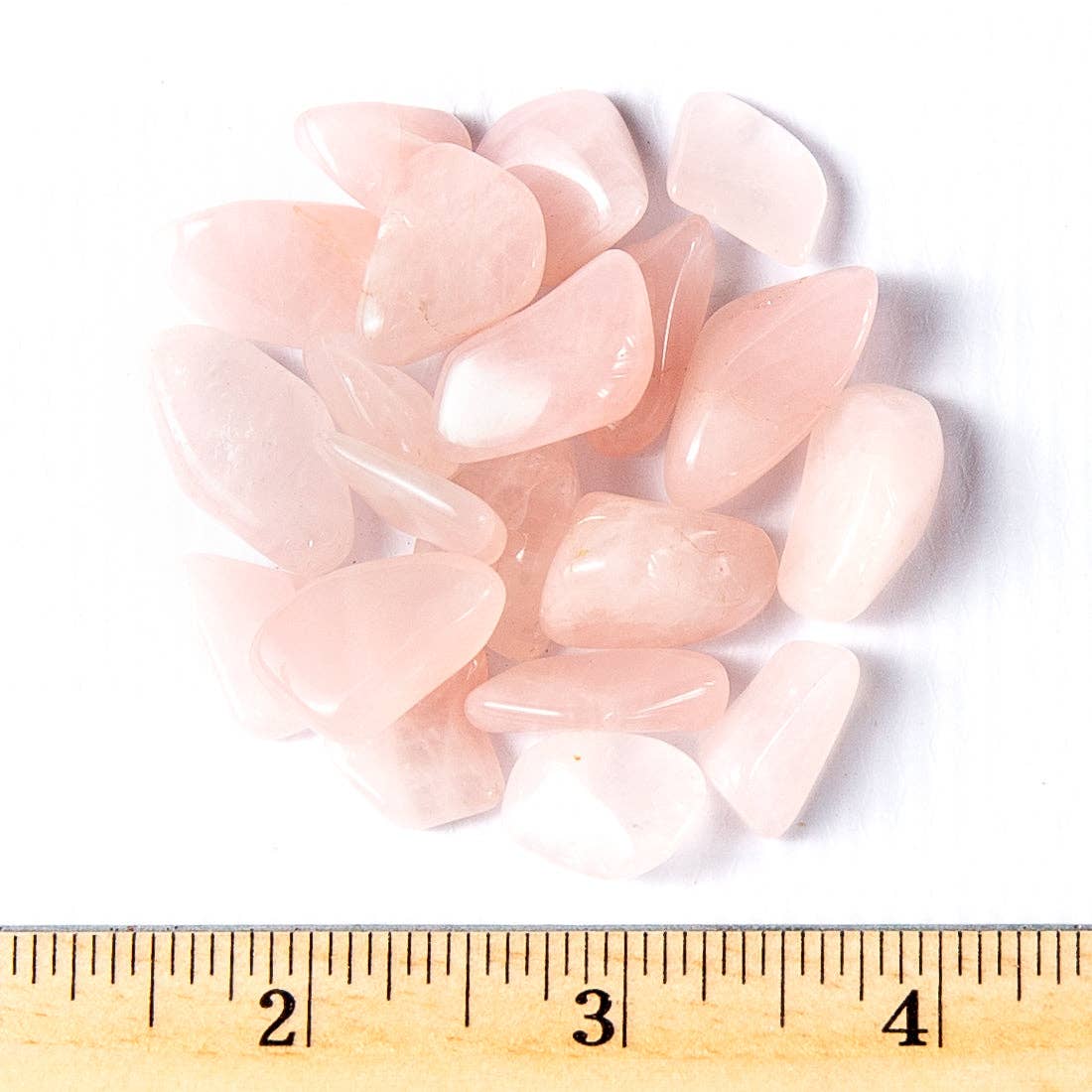 Tree of Life Gems - Wholesale Spiritual Stone/Crystal - Small Tumbled Rose Quartz3