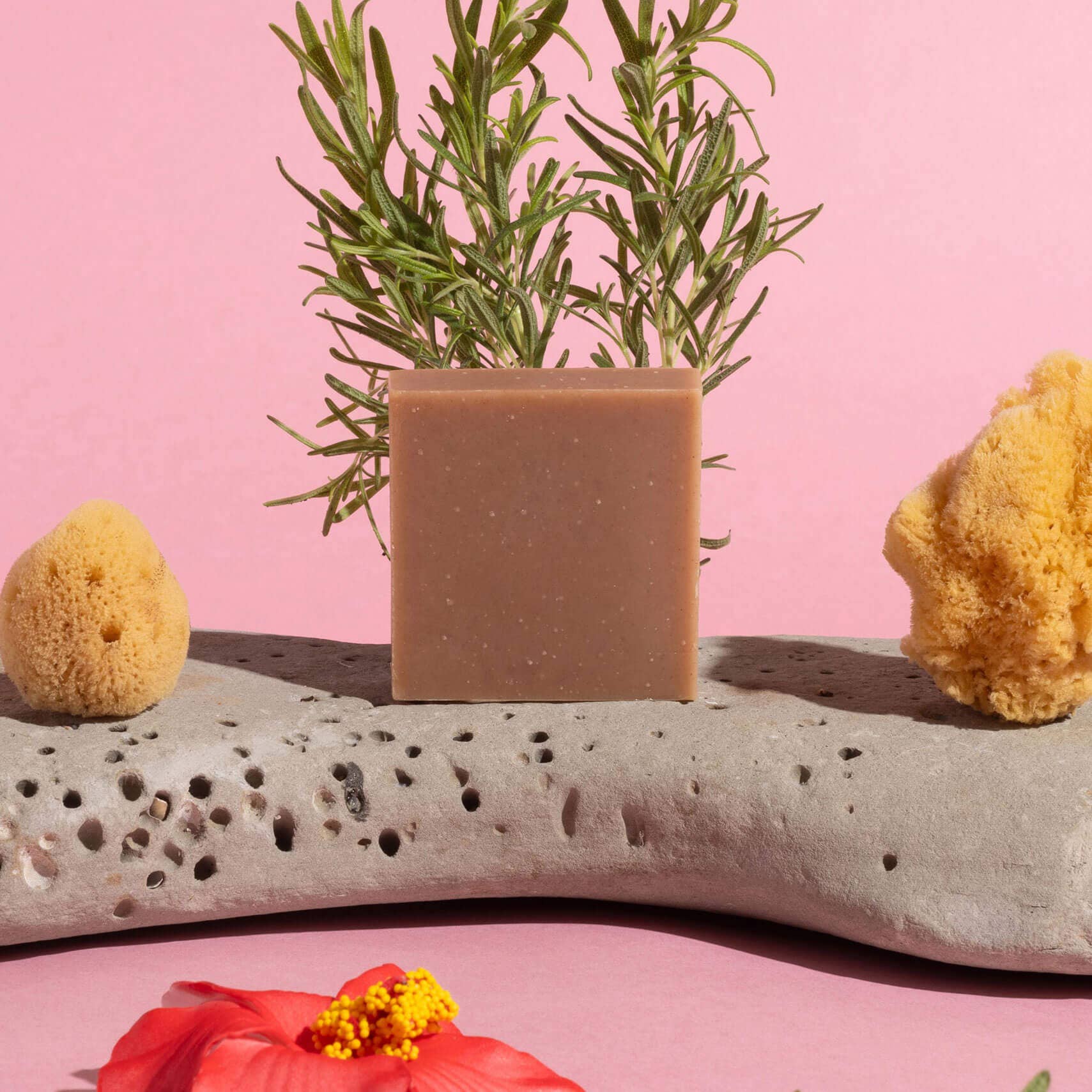 Temazcal Life - Venta al por mayor Pastilla de jabón - Jabón exfoliante en barra Kermesse2