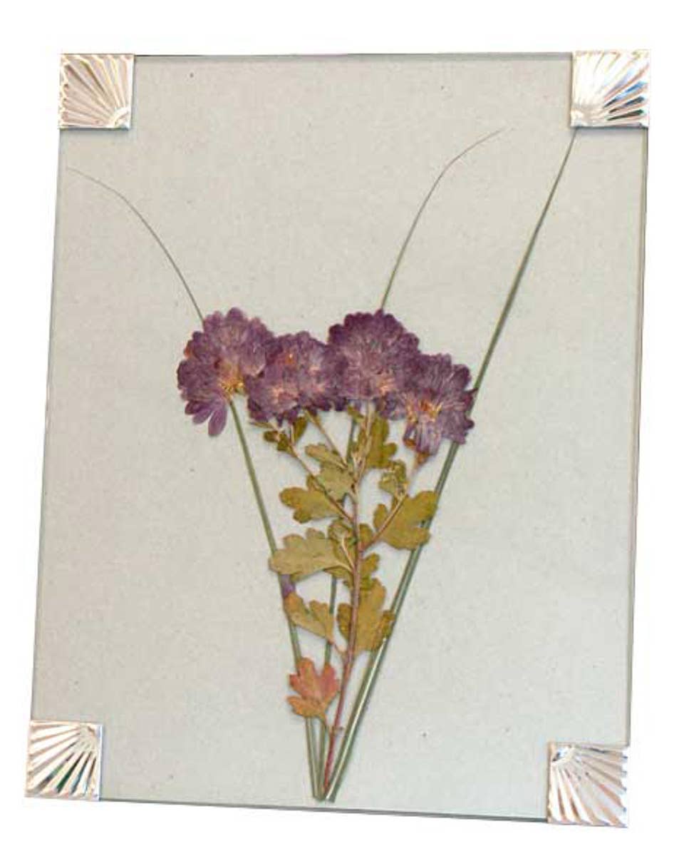 BestNest Inc - Wholesale DIY Craft Kit - Nature Press, 12" x 18"2