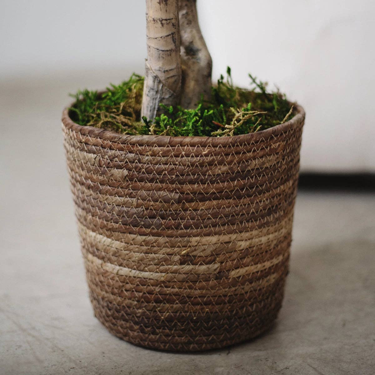 Maia Shop - Wholesale Plant Pot - Gaia Wicker Flowerpot3