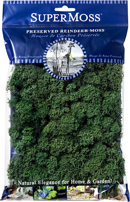 SuperMoss – Großhandel Pflanzen – SuperMoss Rentiermoos konserviert, 57 g Beutel9
