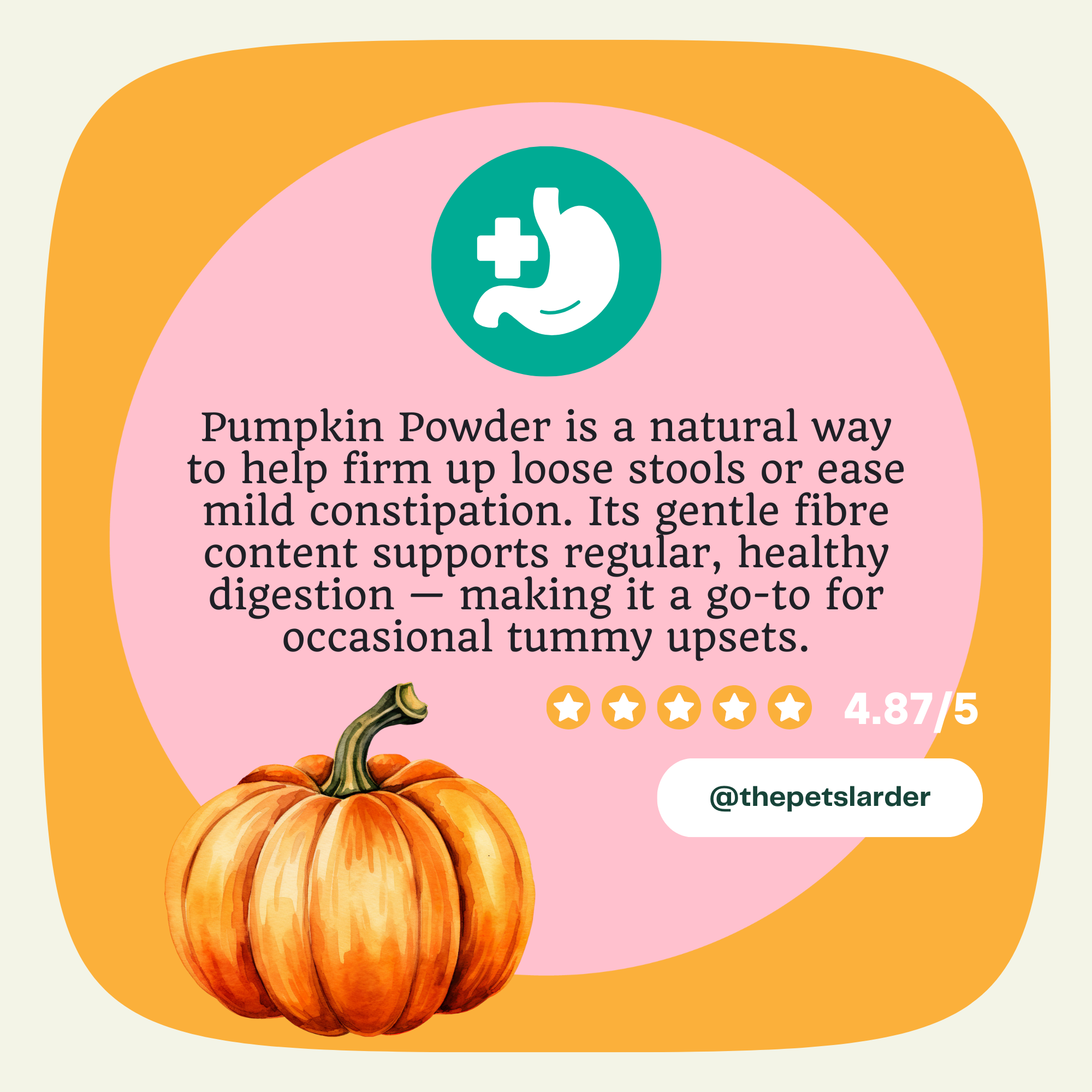 The Pets Larder – wholesale Pet supplement – Dog – Pumpkin Powder for Dogs: Digestion Aid3