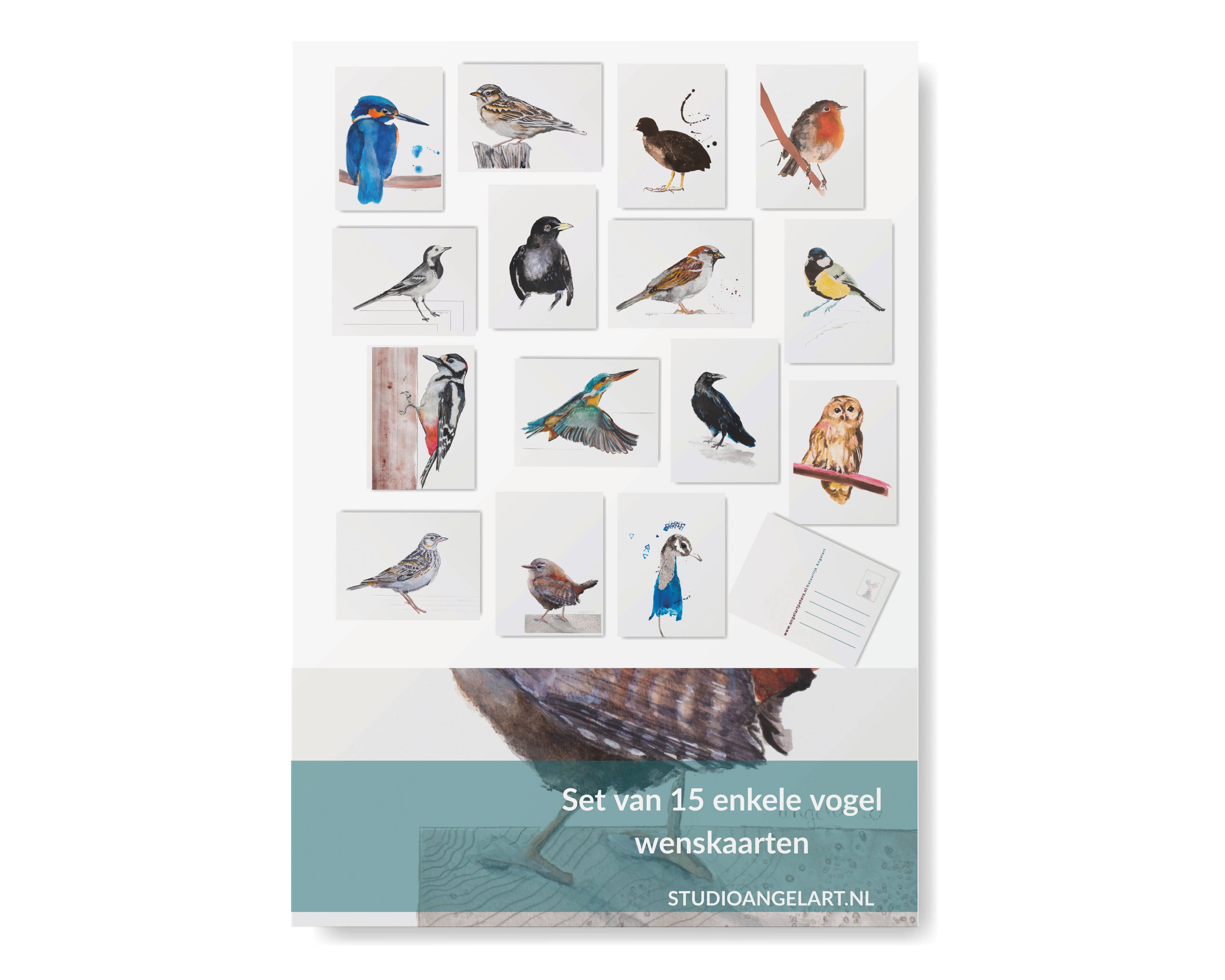 Studio Angelart - Wholesale Stationery/Notecard Set - Native Bird greeting cards set - 15 pieces8