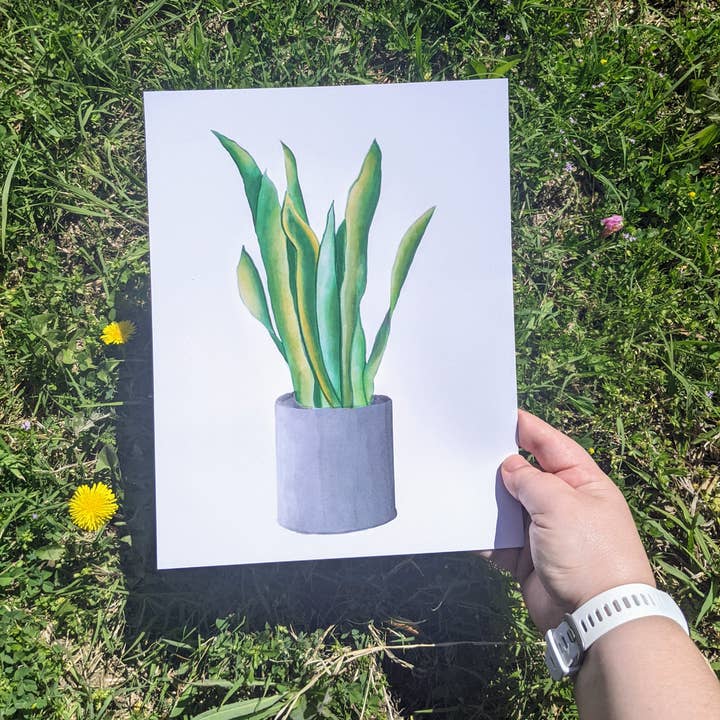 Taylor Stonebarger Creations - Wholesale Art Print - Snake Plant 8.5x11in2