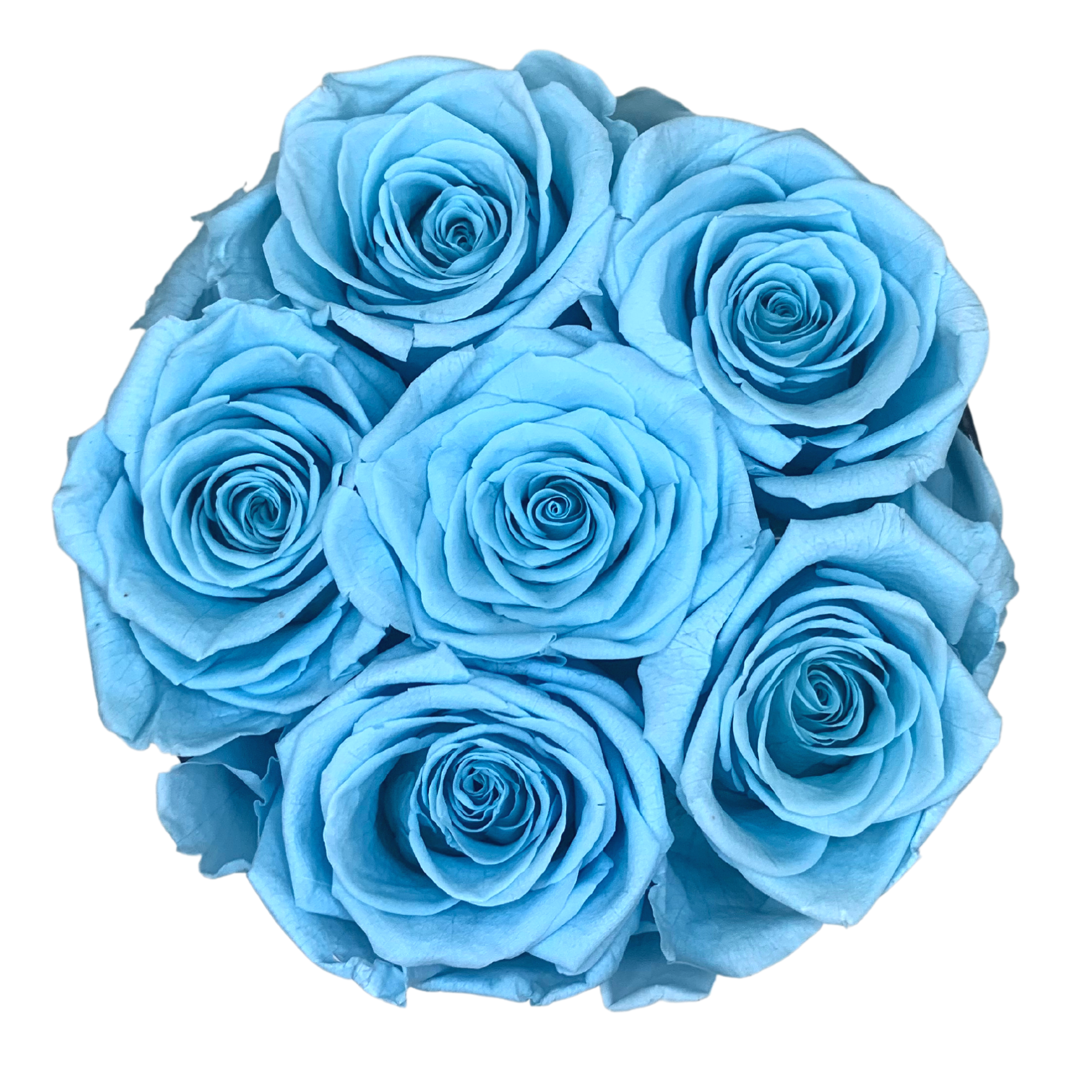 verona home and gift - Wholesale Dried/Pressed Flowers - Real Preserved Roses that Last Forever 12