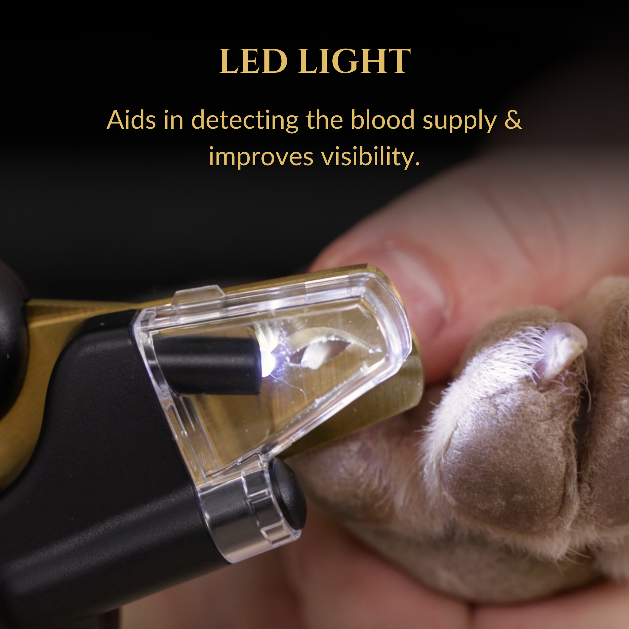 Wasatch Pup - Wholesale Nail Clipper/Scissor - 3 in 1 Nail Clippers3