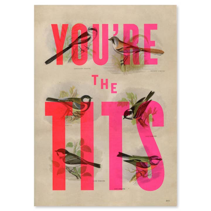 Basil & Ford – wholesale Art print – You're The Tits - A4 Screen Print1