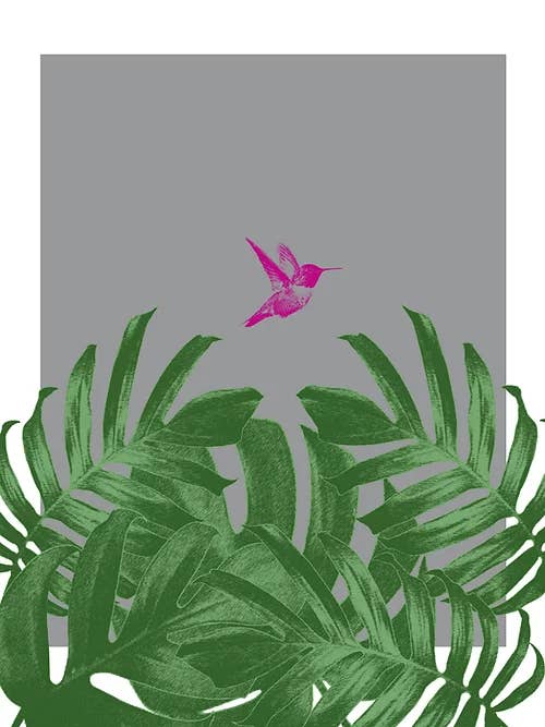 Colibrí tropical volando para venta al por mayor de Siobhan Harton Studio